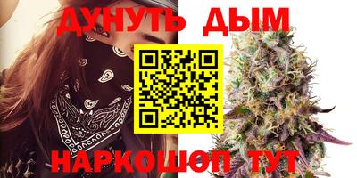 сатива Будённовск