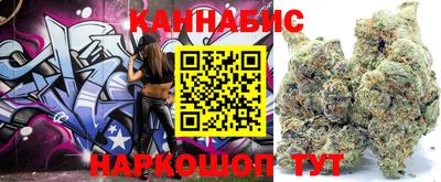 сатива Будённовск