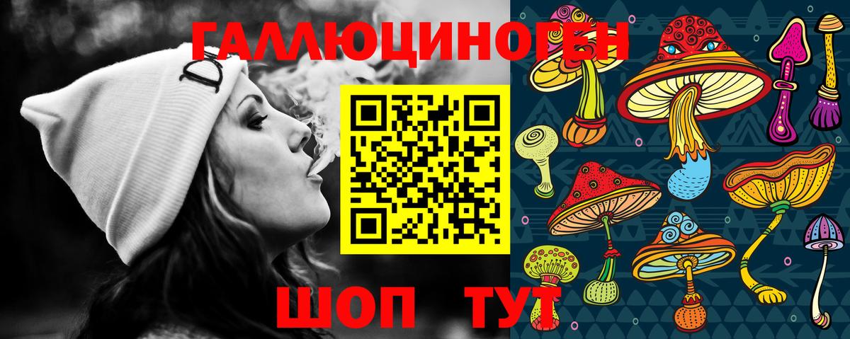 Псилоцибиновые грибы Psilocybine cubensis  Вход с VPN  Черногорск 